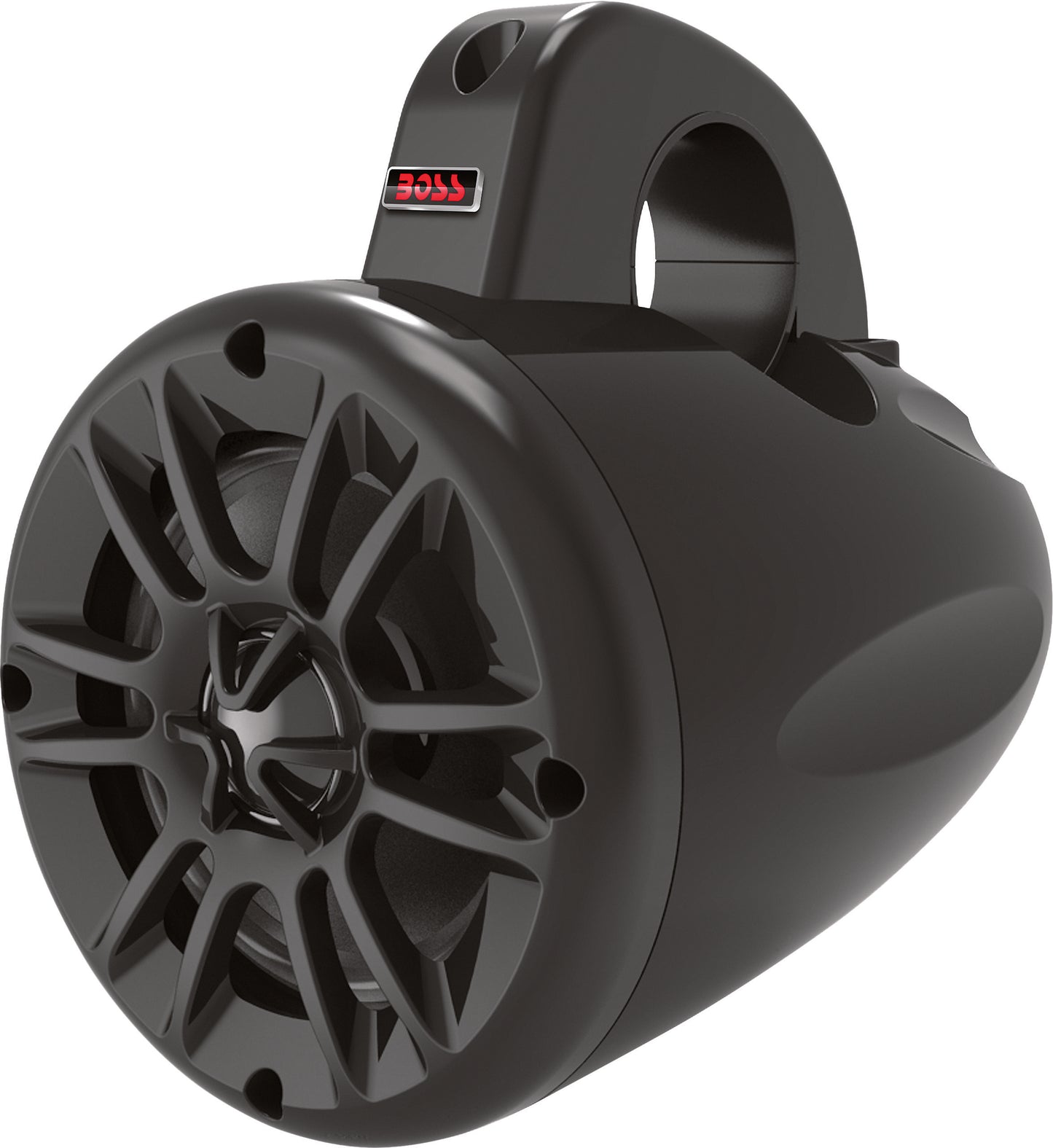Boss Non-Amp Rollcage Speakers