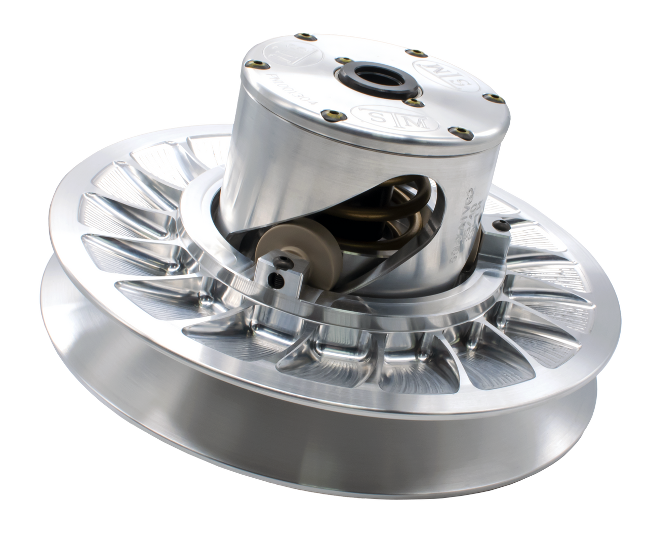 CAN AM STM Gen 2 Tuner Secondary